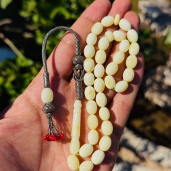 Kaliningrad Damla Kehribar