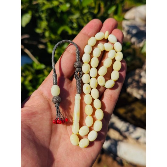 Kaliningrad Damla Kehribar